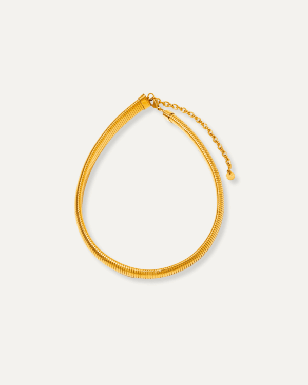 Lya Chunky Choker Necklace
